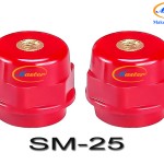 Gối đỡ SM 25 Master