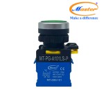 Nút Nhấn ON Có Đèn Xanh Lá MASTER - Loại Tự Giữ, Viền Mạ Bạc