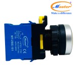 Nút Nhấn RESET Có Đèn Vàng MASTER - Loại Tự Giữ, Viền Mạ Bạc