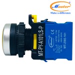 Nút Nhấn RESET Có Đèn Vàng MASTER - Loại Tự Giữ, Viền Mạ Bạc