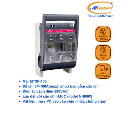Ngắt Mạch Cầu Chì MT3P-100 Master