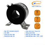 Biến Dòng Đo Lường RCT-35 30/5A CL3.0 5VA Master