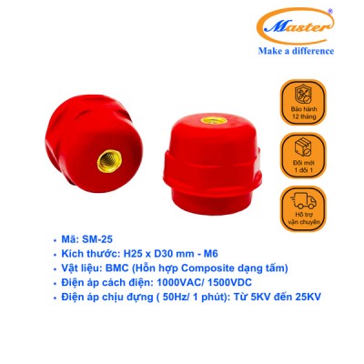 Gối đỡ SM 25 Master