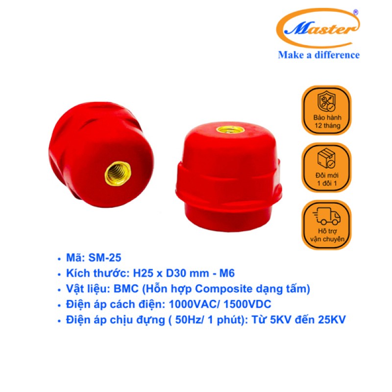 Gối đỡ SM 25 Master