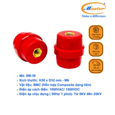 Gối đỡ SM 30 Master