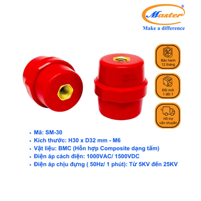 Gối đỡ SM 30 Master