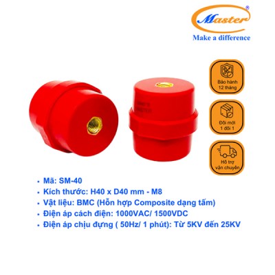 Gối đỡ SM 40 Master